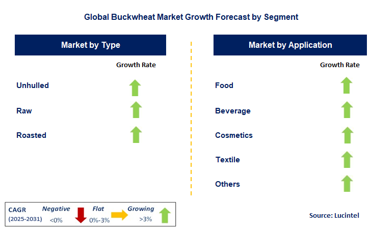Buckwheat Market by Segment