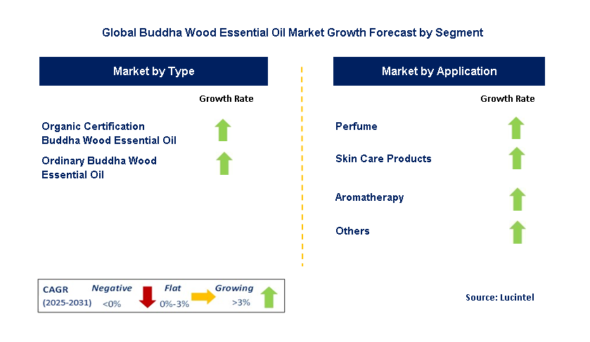 Buddha Wood Essential Oil Market by Segment