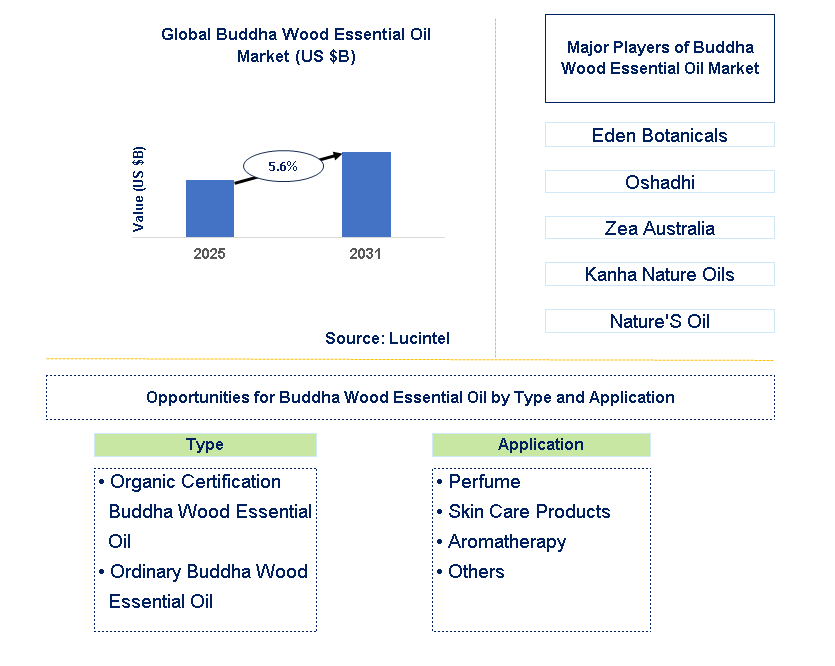 Buddha Wood Essential Oil Market Trends and Forecast