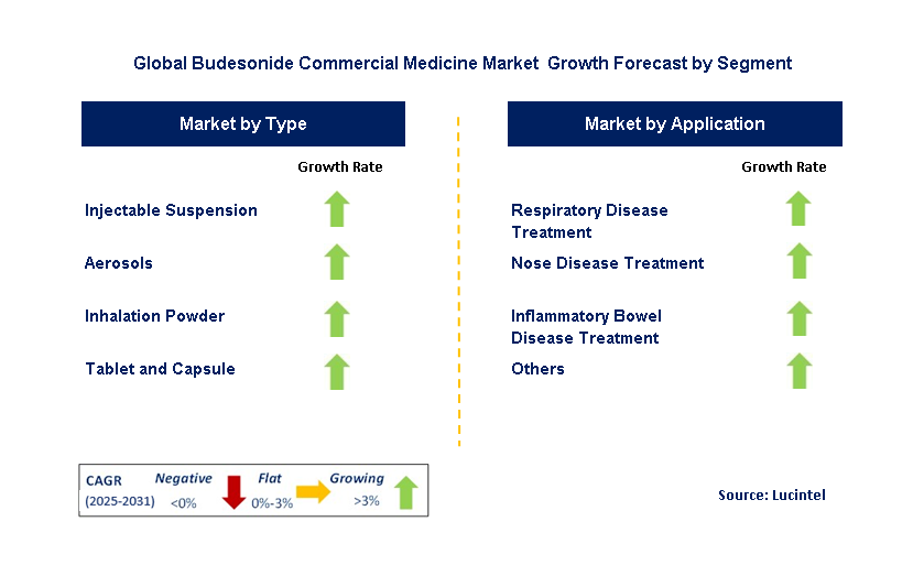 Budesonide Commercial Medicine Market by Segment