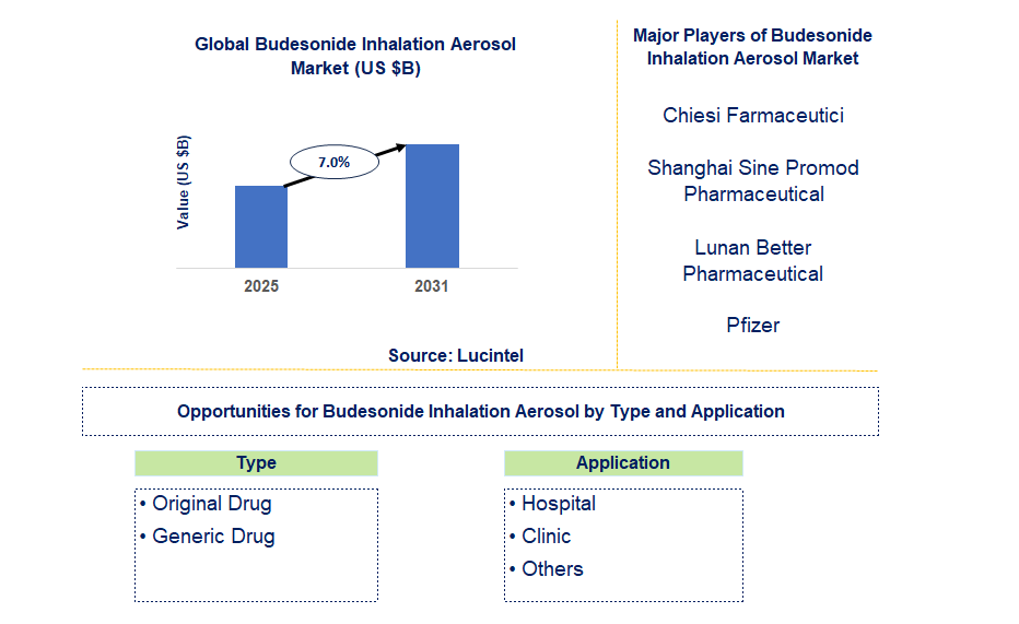 Budesonide Inhalation Aerosol Market Trends and Forecast
