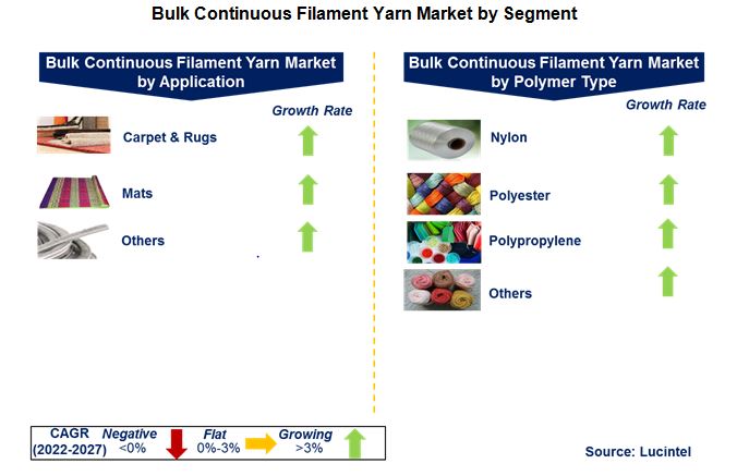 Bulk Continuous Filament Yarn Market by Segment
