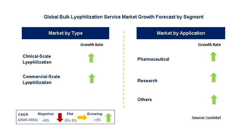 Bulk Lyophilization Service Market by Segment