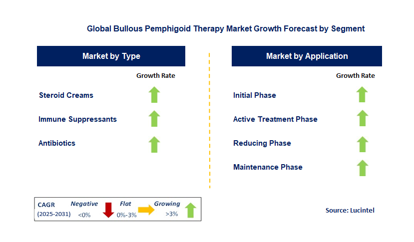 Bullous Pemphigoid Therapy Market by Segment