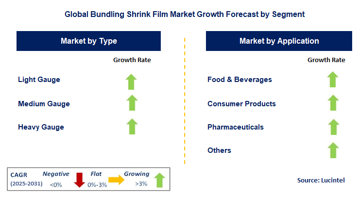 Bundling Shrink Film Market by Segment