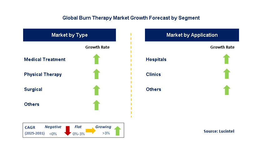 Burn Therapy Market by Segment