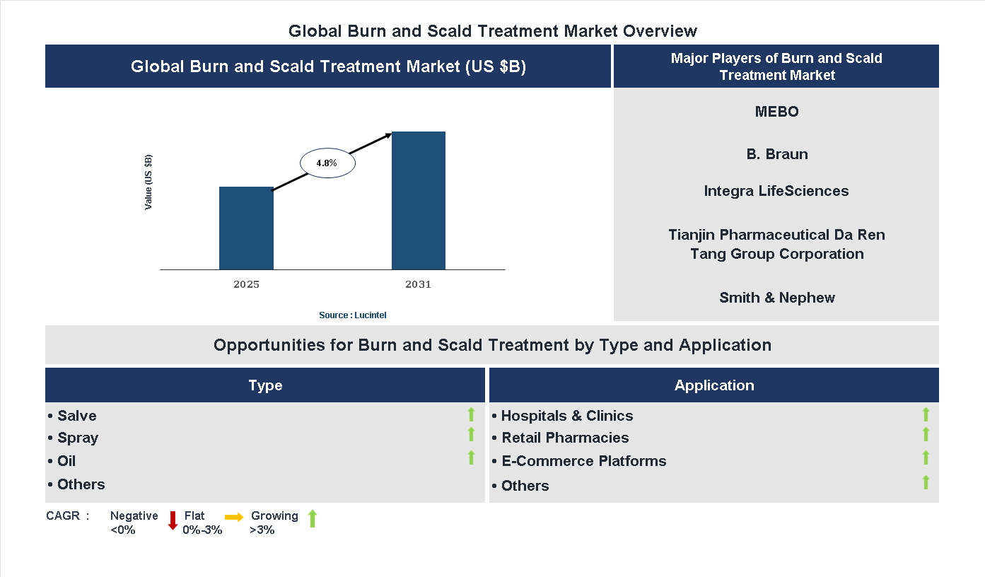 Burn and Scald Treatment Market Trends and Forecast
