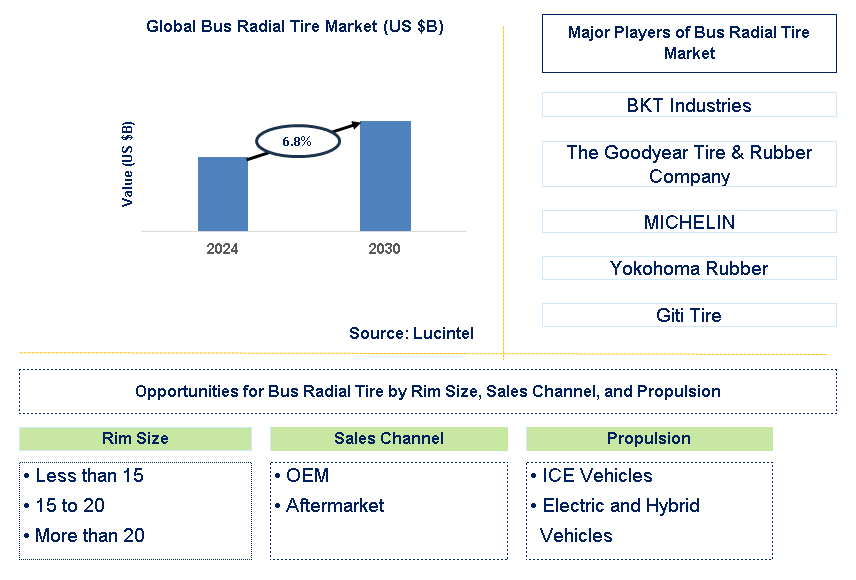 Bus Radial Tire Trends and Forecast