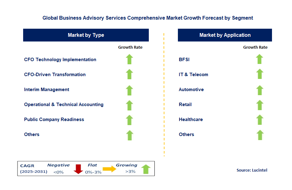 Business Advisory Services Comprehensive Market by Segment