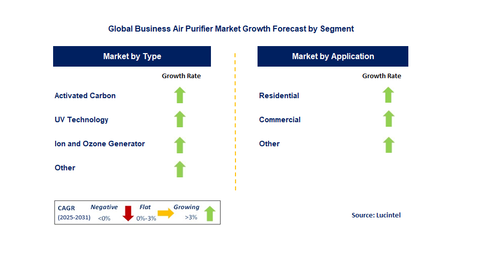 Business Air Purifier Market by Segment