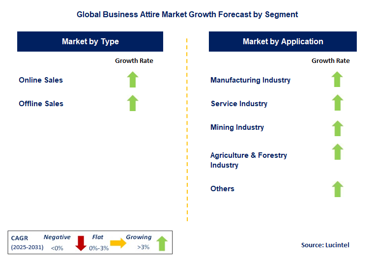 Business Attire Market by Segment