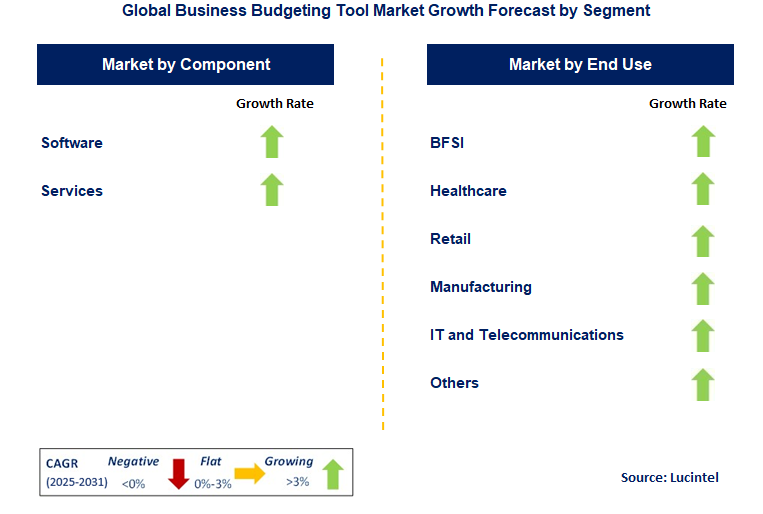 Business Budgeting Tool Market by Segment