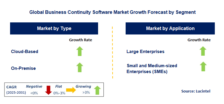 Business Continuity Software Market by Segment