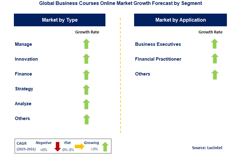 Business Courses Online Market by Segment