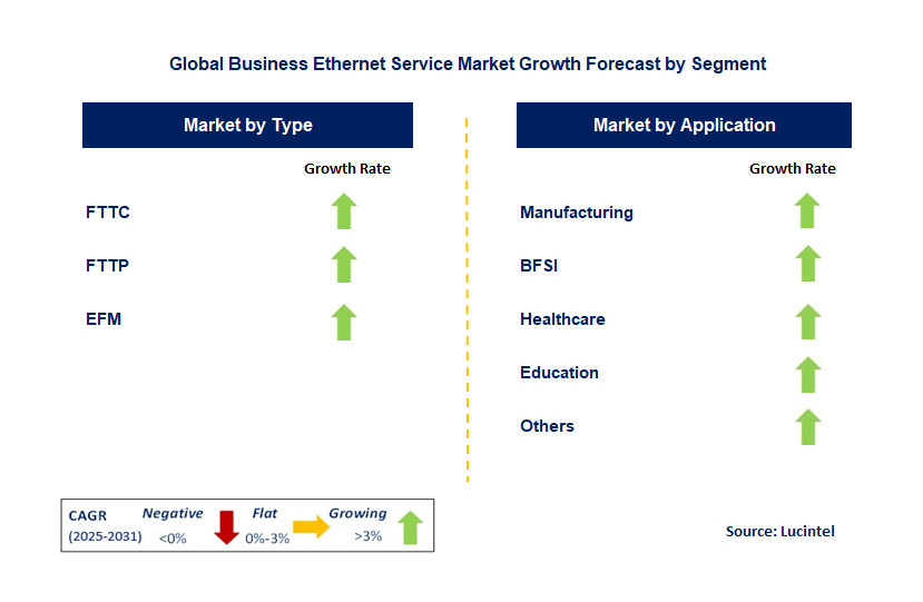 Business Ethernet Service Market by Segment