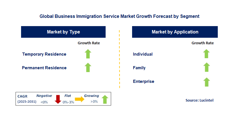 Business Immigration Service Market by Segment