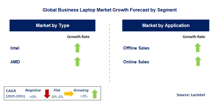 Business Laptop Market by Segment