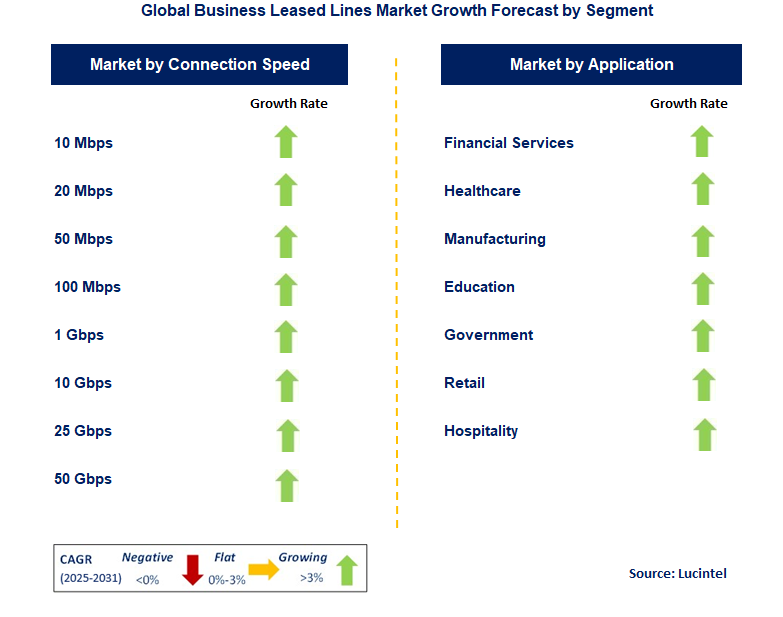 Business Leased Lines Market by Segment