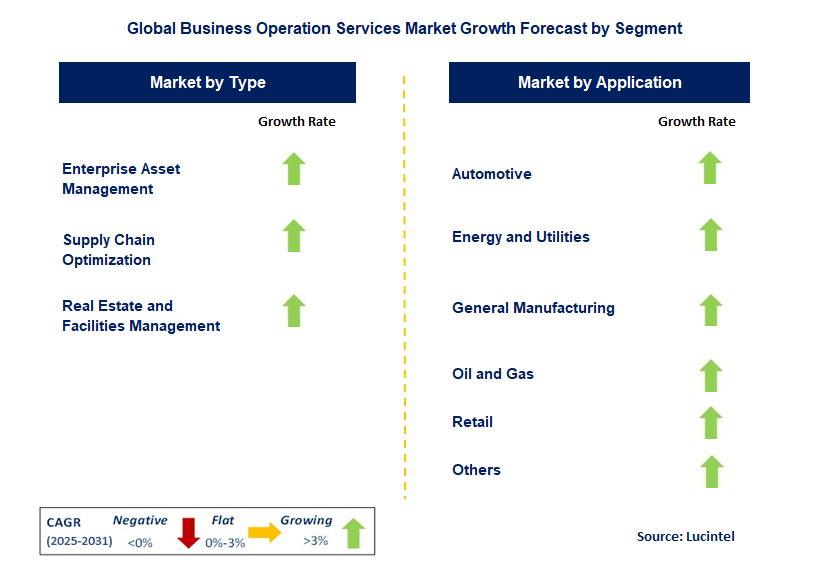 Business Operation Services Market by Segment