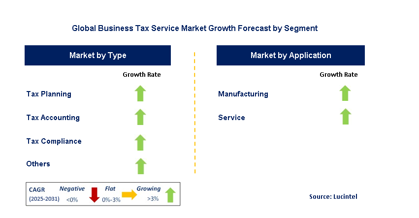 Business Tax Service Market by Segment