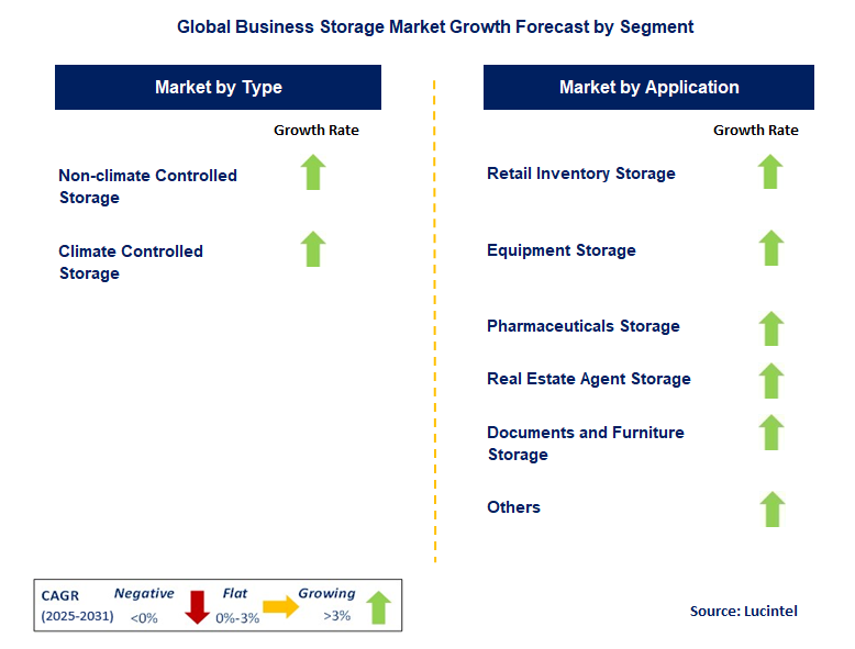 Business Storage Market by Segment