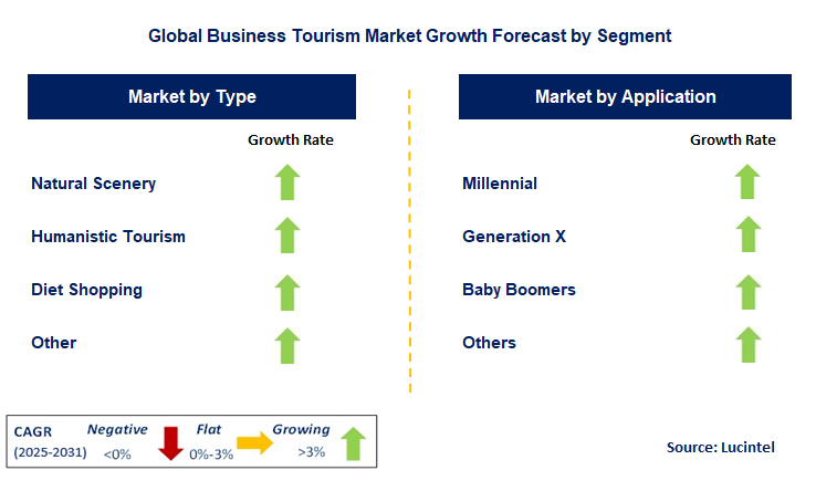 Business Tourism Market by Segment