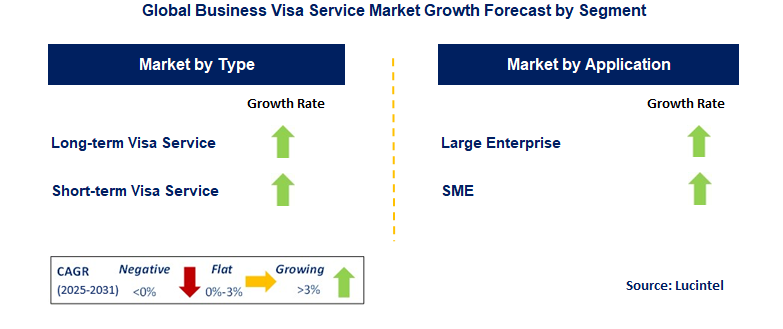 Business Visa Service Market by Segment