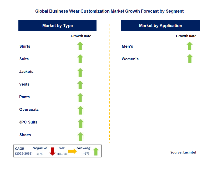 Business Wear Customization Market by Segment