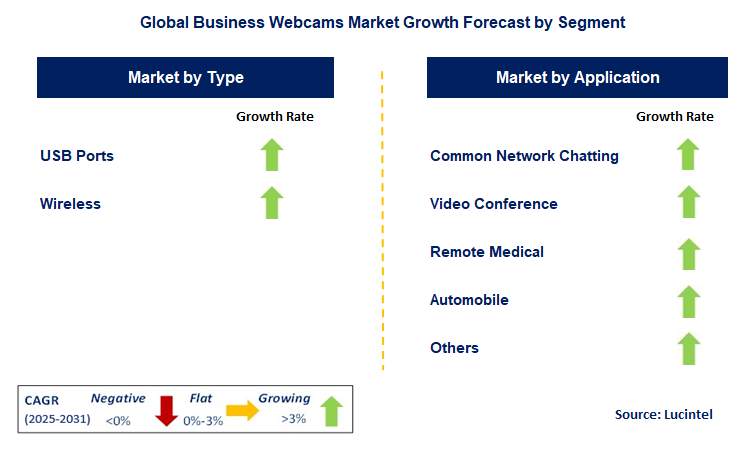 Business Webcams Market by Segment