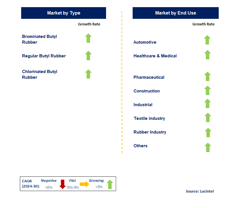 Butyl Rubber by Segment