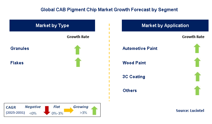 CAB Pigment Chip Market by Segment