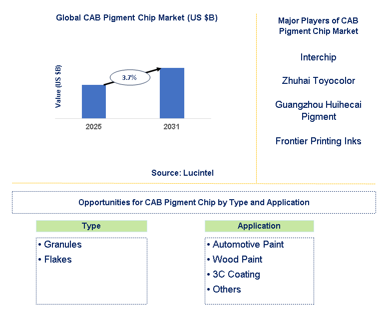 CAB Pigment Chip Market Trends and Forecast