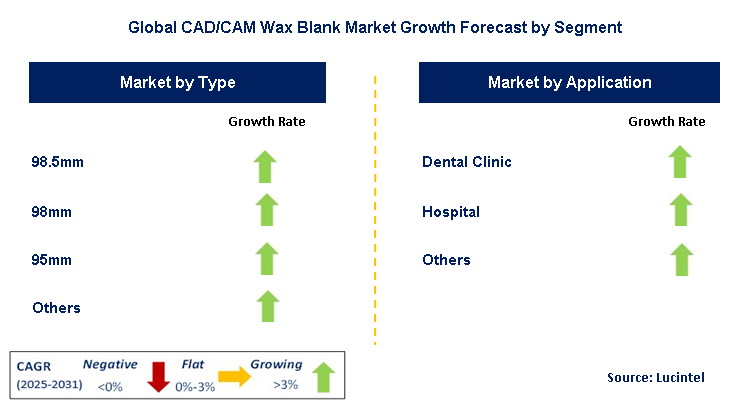 CAD/CAM Wax Blank Market by Segment