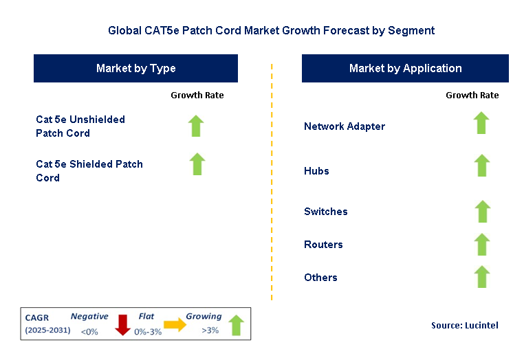 CAT5e Patch Cord Market by Segment