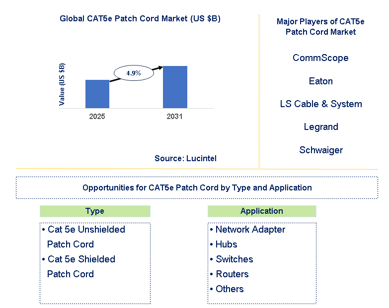 CAT5e Patch Cord Market Trends and Forecast