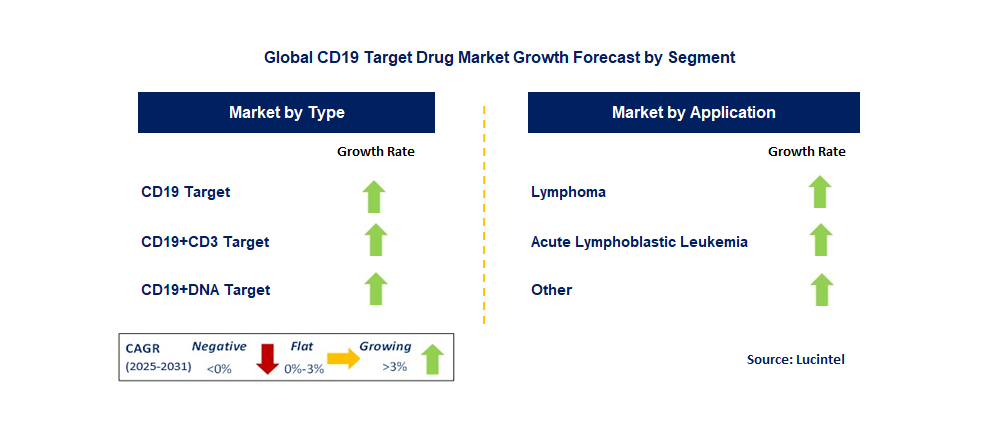 CD19 Target Drug Market by Segment