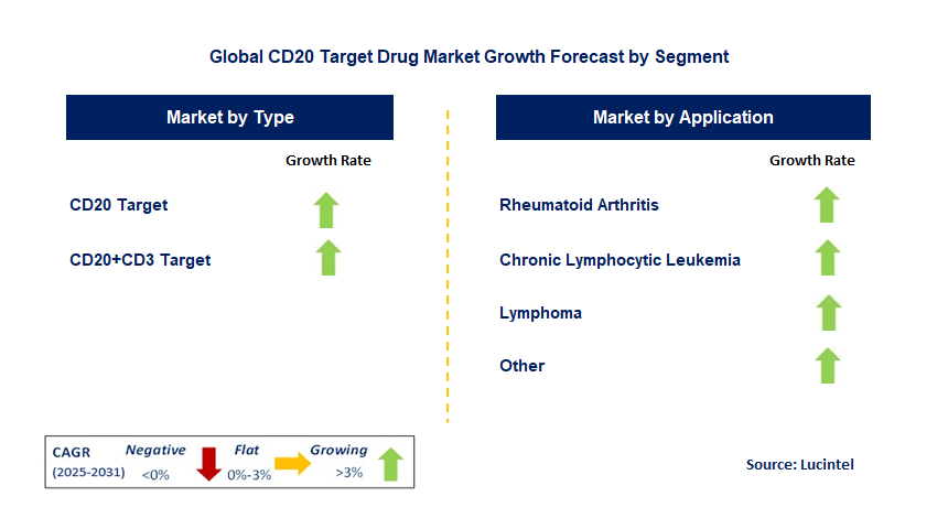 CD20 Target Drug Market by Segment
