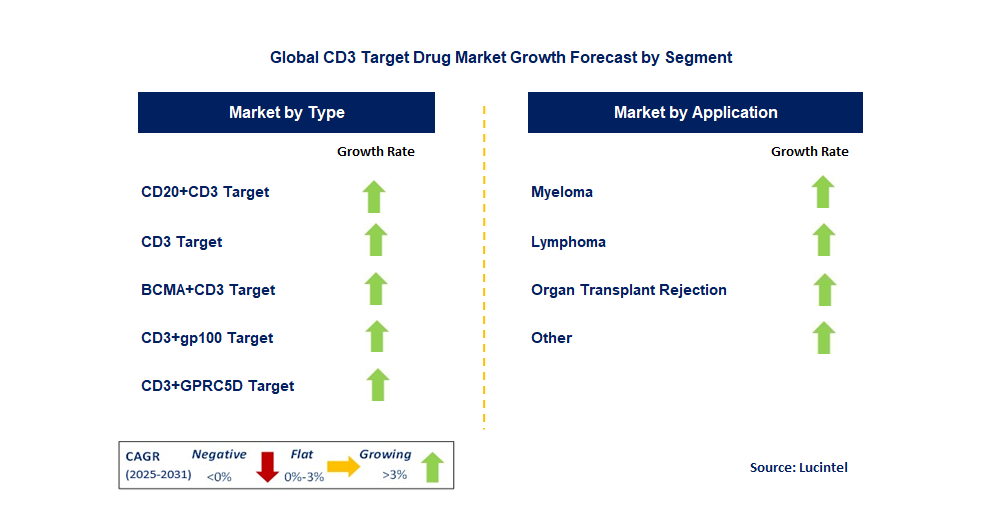 CD3 Target Drug Market by Segment