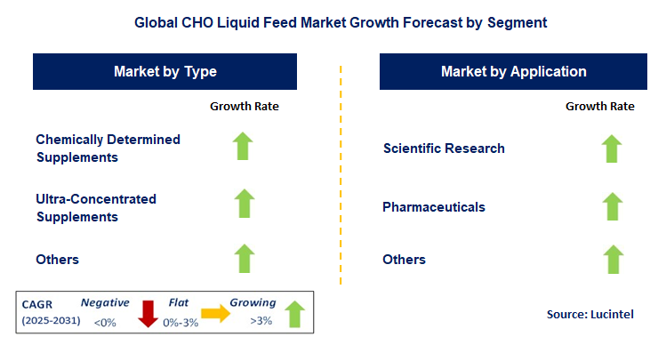 CHO Liquid Feed Market by Segment