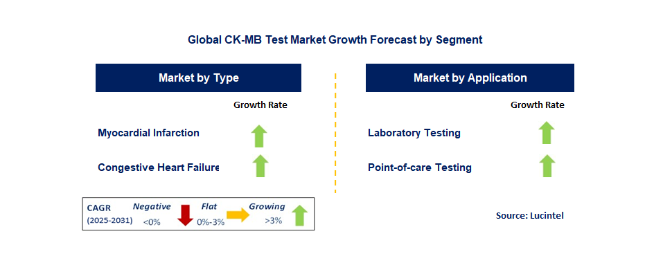 CK-MB Test Market by Segment