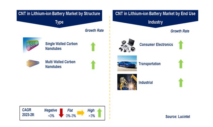 CNT in the Global Lithium-ion Battery Market by Segments
