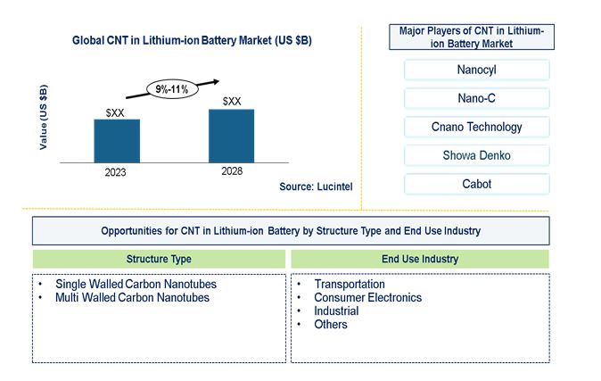 CNT in the Global Lithium-ion Battery Market by Structure Type, and End Use Industry