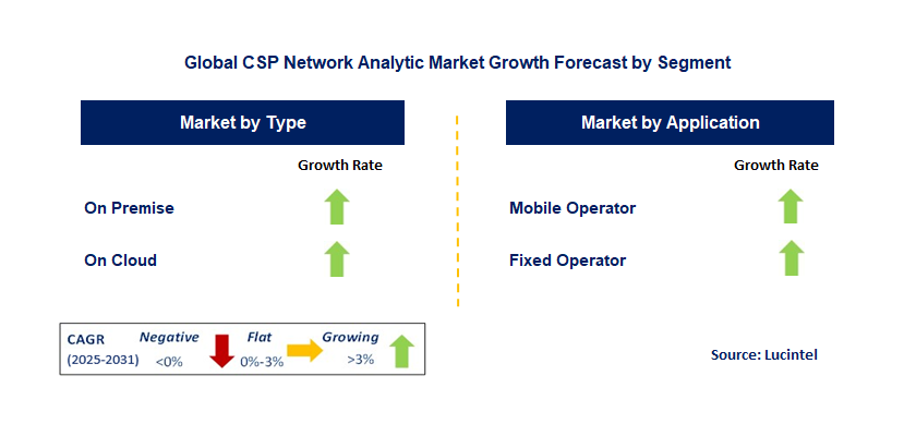 CSP Network Analytic Market by Segment