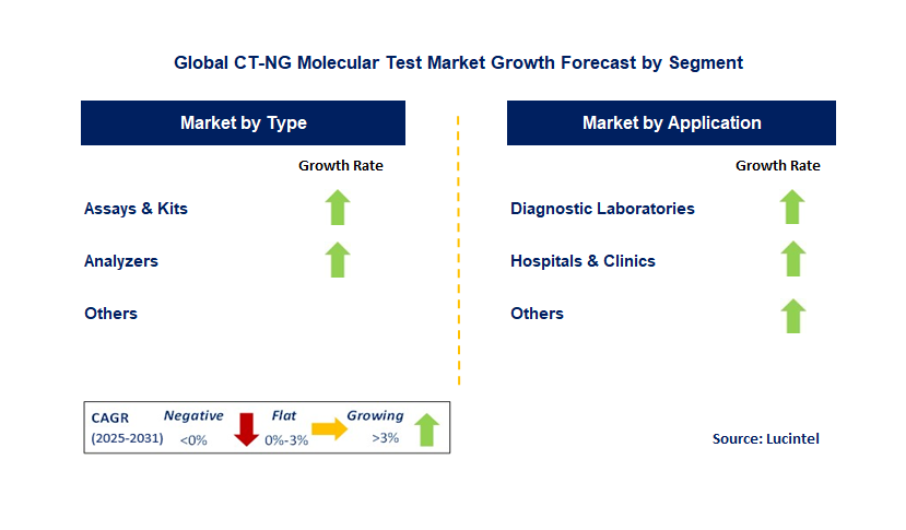 CT-NG Molecular Test Market by Segment