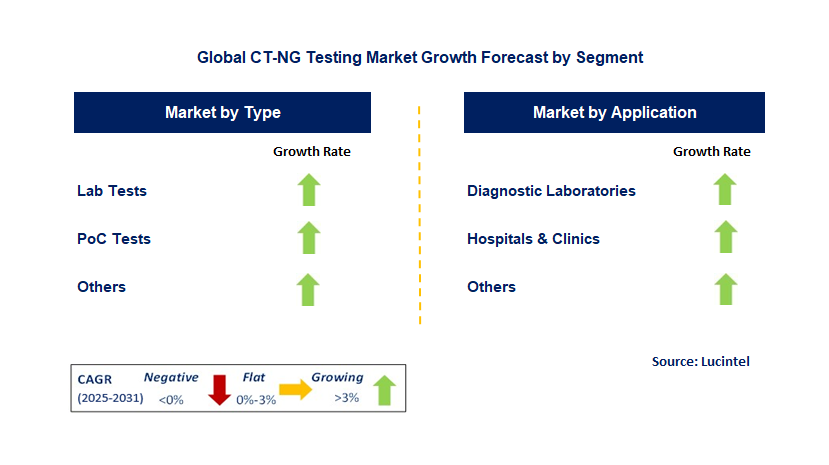 CT-NG Testing Market by Segment