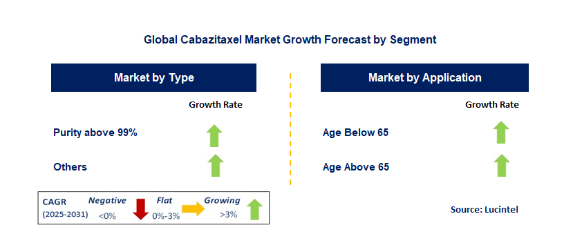 Cabazitaxel Market by Segment