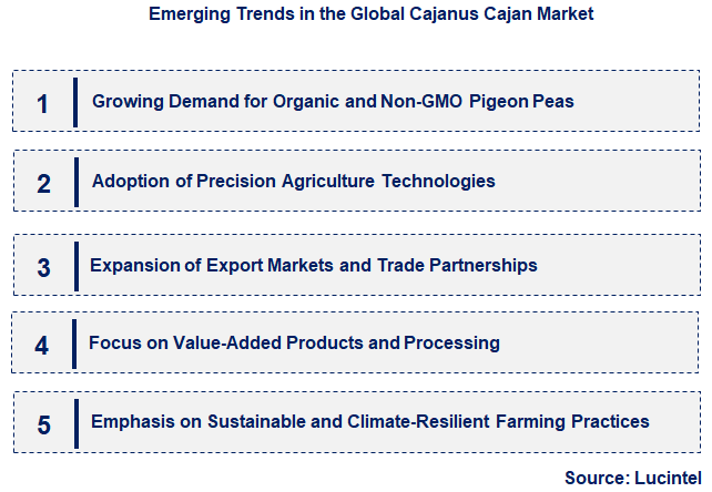 Emerging Trends in the Cajanus Cajan Market