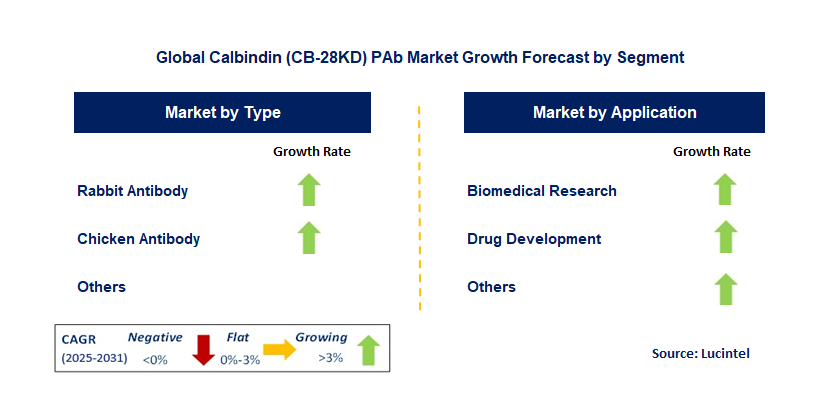 Calbindin (CB-28KD) PAb Market by Segment