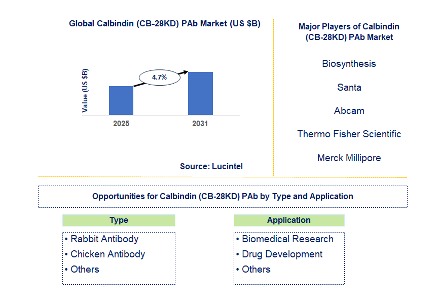 Calbindin (CB-28KD) PAb Market Trends and Forecast