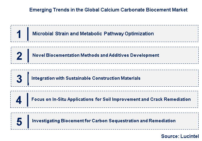 Emerging Trends in the Calcium Carbonate Biocement Market